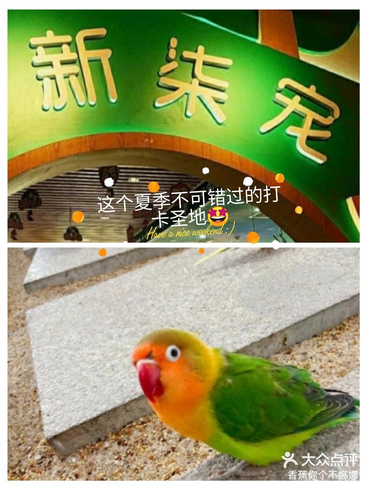遛达app安卓版溜达app赚钱真的假的